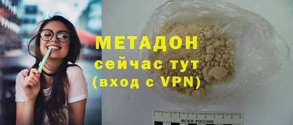 амф Дмитриев