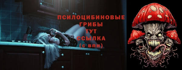 амф Дмитриев
