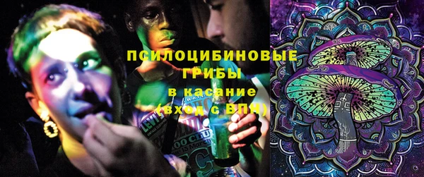 амф Дмитриев