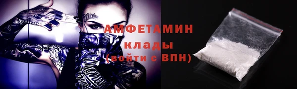 амф Дмитриев