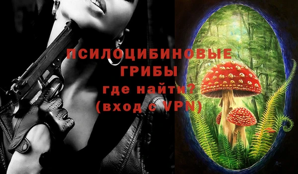 амф Дмитриев