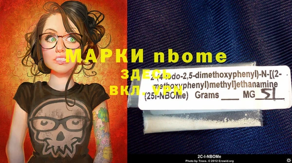 амф Дмитриев