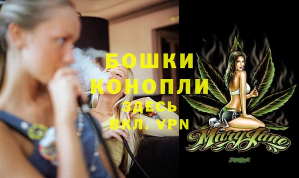 амф Дмитриев
